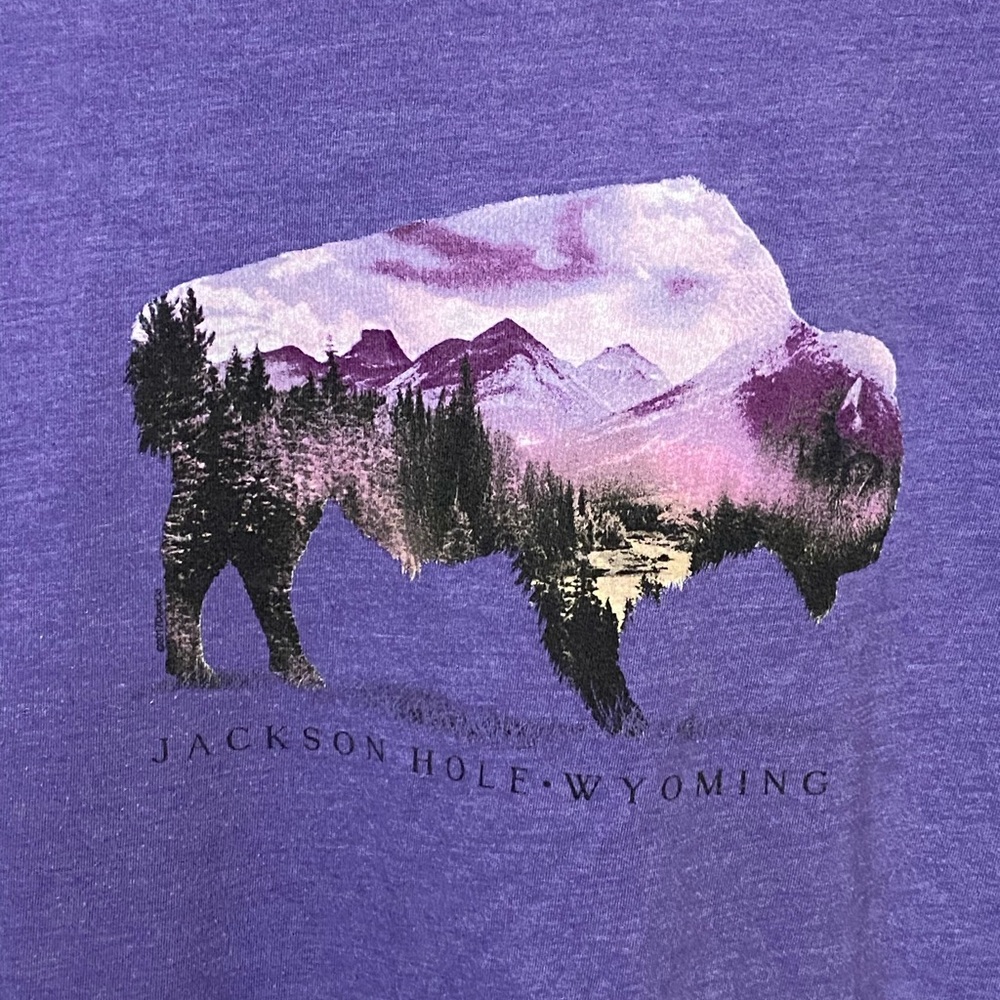 High End Jackson Hole Wyoming Buffalo Purple Men’s XL T-Shirt The Duck Co - Picture 2 of 4